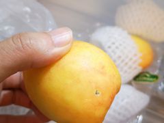 -blt精品超市(上海杨浦合生汇店)