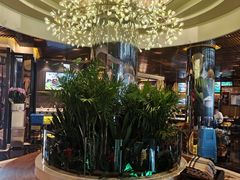 -润园四季椰子鸡火锅(海上世界店)