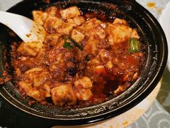 -陈麻婆豆腐总店
