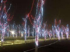 -南京眼步行桥