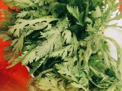 -山城年华老火锅(玉林店)