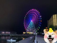 -琴岛之星摩天轮