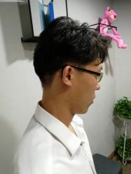 点击看大图 -藤野造型