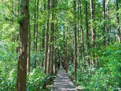 -同里国家湿地公园