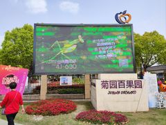 -菊园百果园