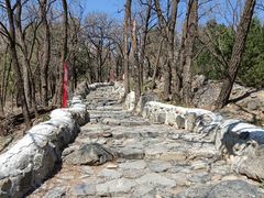 -阳台山自然风景区