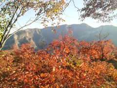 -周口店坡峰岭风景区