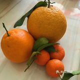 过年啦，家家户户的客厅上，水果是必不可少的