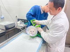 -瑞派名望志远动物医院·猫科·內科·异宠专科(直港大道店)