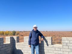 -金塔沙漠胡杨林景区