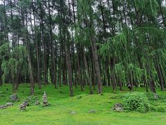 -硗碛藏寨·神木垒景区