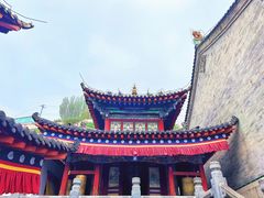 -塔尔寺-菩提树