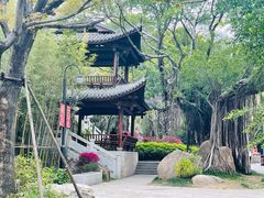 -耙豌豆重庆小面