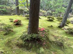 -西芳寺(苔寺)