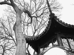 -拙政园