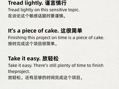 -菠萝国际教育专注Alevel·IGCSE·IB·AP·托福雅思培训辅导(静安校区)