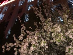 -北京化工大学(东校区)