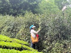 -敬亭山风景名胜区