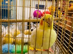 -潇湘·永州会馆(百子湾店)