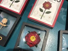 -恋物百货商店(华侨城店)