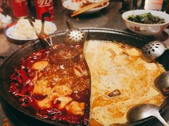 -朱光玉火锅馆(正弘城店)