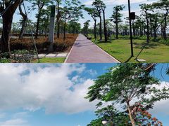 -芒洲湿地公园