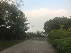 -宝界山林公园