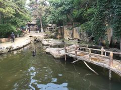 -燕塞湖鸟语林景区