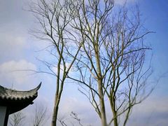 -仙海旅游度假区