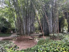 -望江楼公园