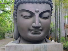 -杭州植物园