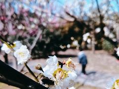 -石湖景区