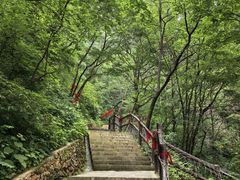 -秦岭天竺山生态文化旅游景区