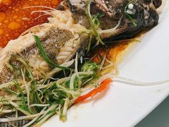 -宝燕壹号(徐汇店)