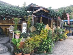 -Jungle Kitchen