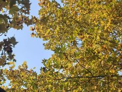 -春晖园度假酒店温泉