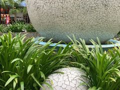 -100蛋泥浆浴