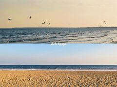 -金梦海湾浴场