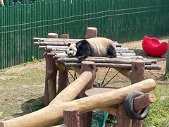 -沈阳森林动物园