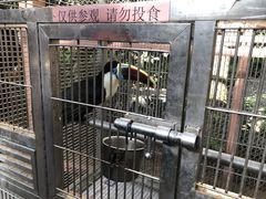 -南宫五洲植物乐园