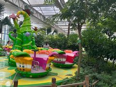 -南宫五洲植物乐园