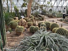 -北京植物园-展览温室