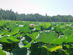 -云龙湖旅游景区