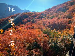 -周口店坡峰岭风景区
