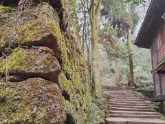 -青城山
