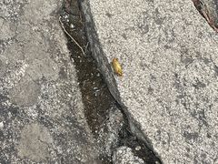 -罗田薄刀峰风景区