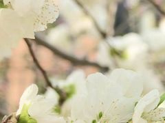 -北京安贞环宇荟