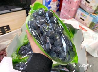 阳光玫瑰苗 欧美杂交种，果绿黄色，-般粒重12