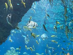 -海合安武汉极地海洋公园