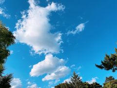 -长春市南湖公园